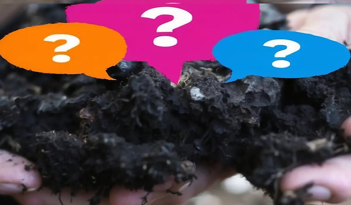 questions autour du compost