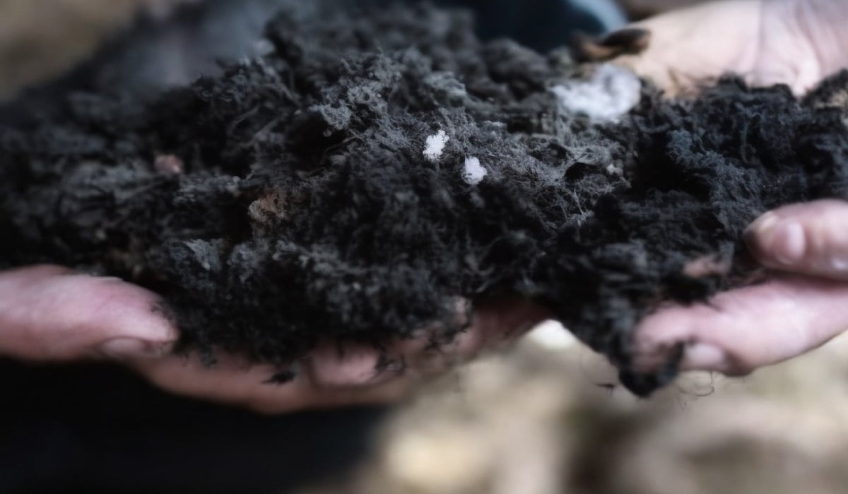 des mains qui tiennent du compost