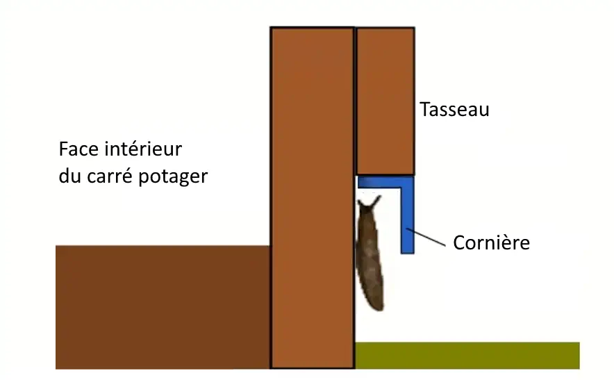 une barrière anti limace et escargot