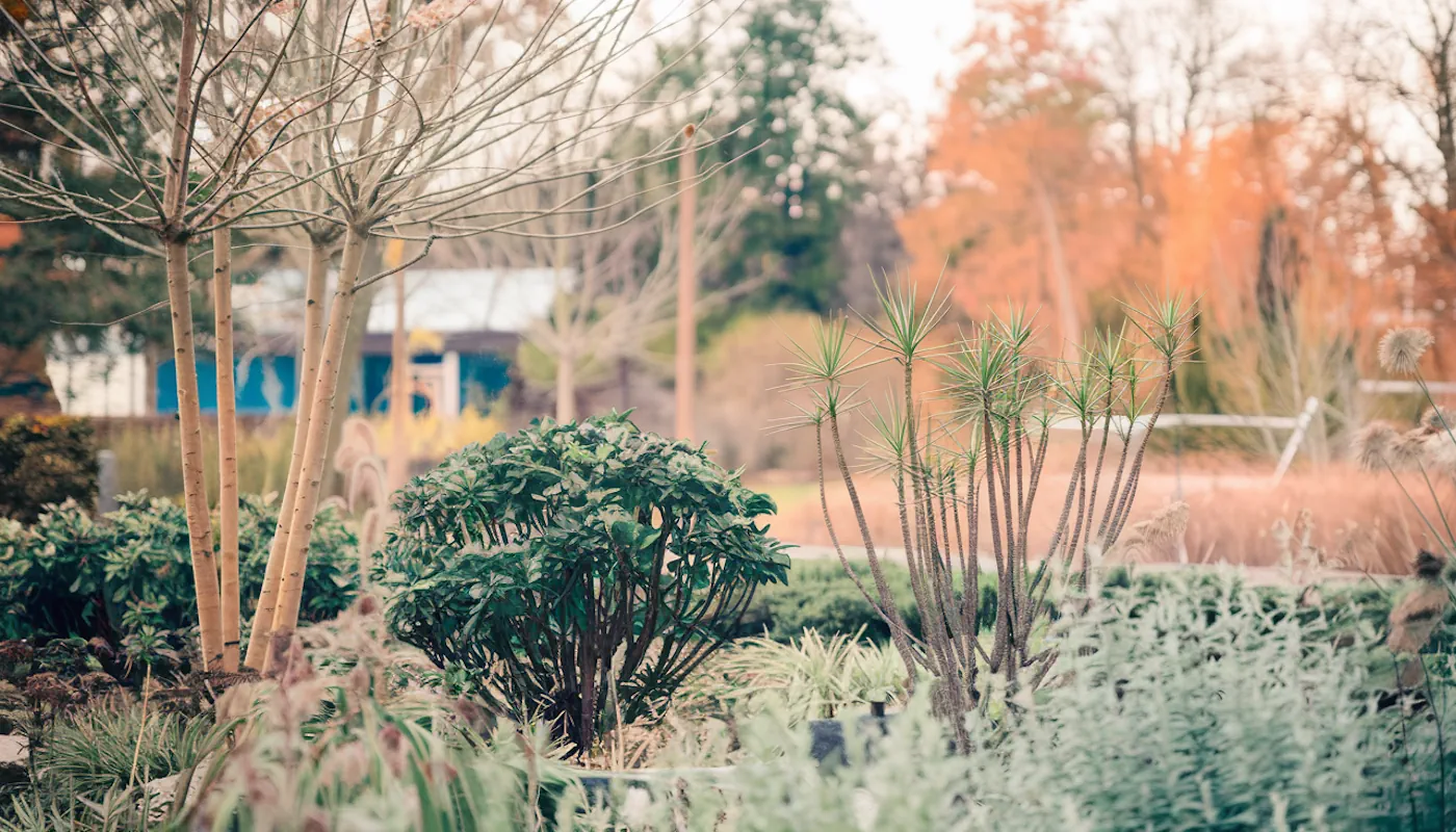 Les Modes de Reproduction des Plantes : Leurs Secrets Enfin Révélés !