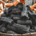 Le Charbon pour Poules : L’Ingrédient Magique que Vous Ignoriez !