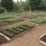 Le printemps arrive : préparez votre potager